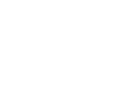 $1000K+ Revenue Growth with Google Ads & Email